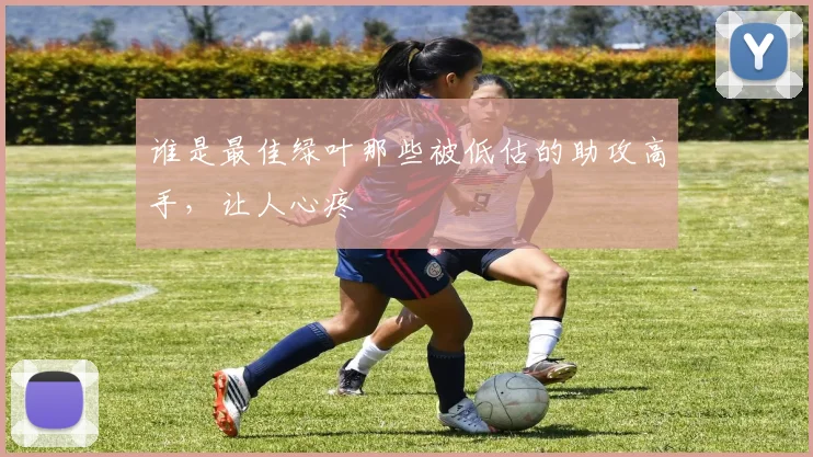 谁是最佳绿叶那些被低估的助攻高手，让人心疼