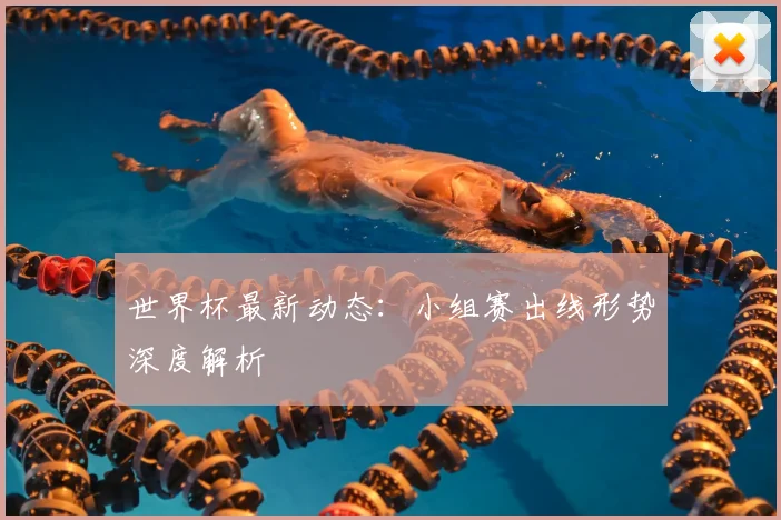 世界杯最新动态：小组赛出线形势深度解析
