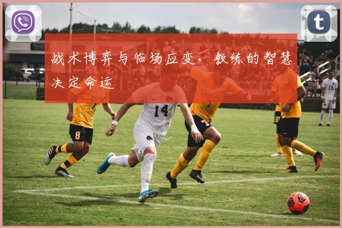 战术博弈与临场应变，教练的智慧决定命运
