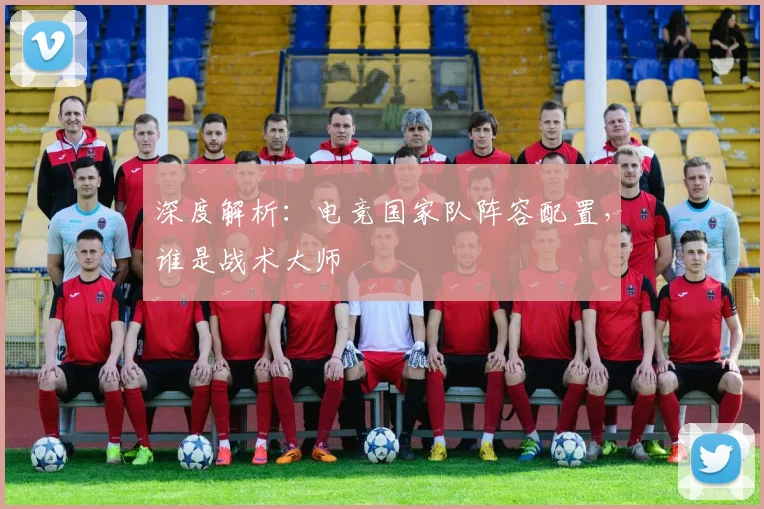 深度解析：电竞国家队阵容配置，谁是战术大师